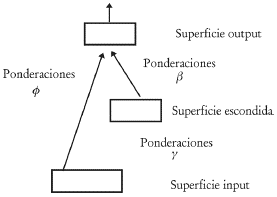 Gráfico 5. Representación de una red neuronal alimentada hacia adelante con una única superficie escondida o single layer feedforward network