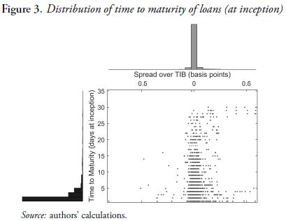 Figure 3. Distribution of time to maturity of loans (at inception)