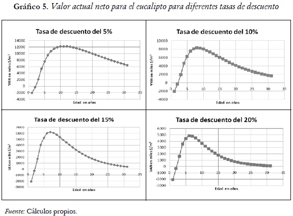 Gráfico 5. Valor actual neto para el eucalipto para diferentes tasas de descuento