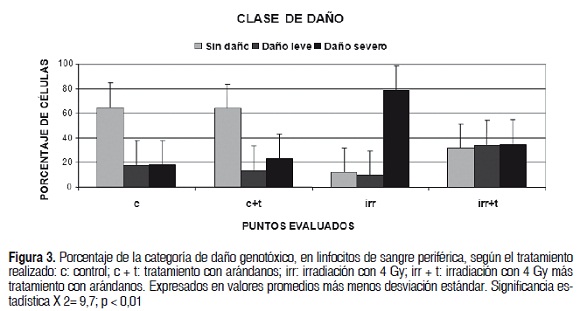 Figura 3. Porcentaje de la categora de dao genotxico, en linfocitos de sangre perifrica, segn el tratamiento realizado