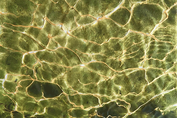 Hilos de oro, fotografía con intervención