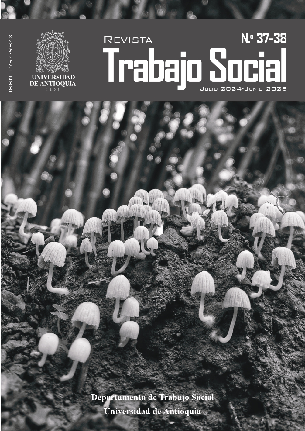 					Ver Núm. 37-38 (2025)
				